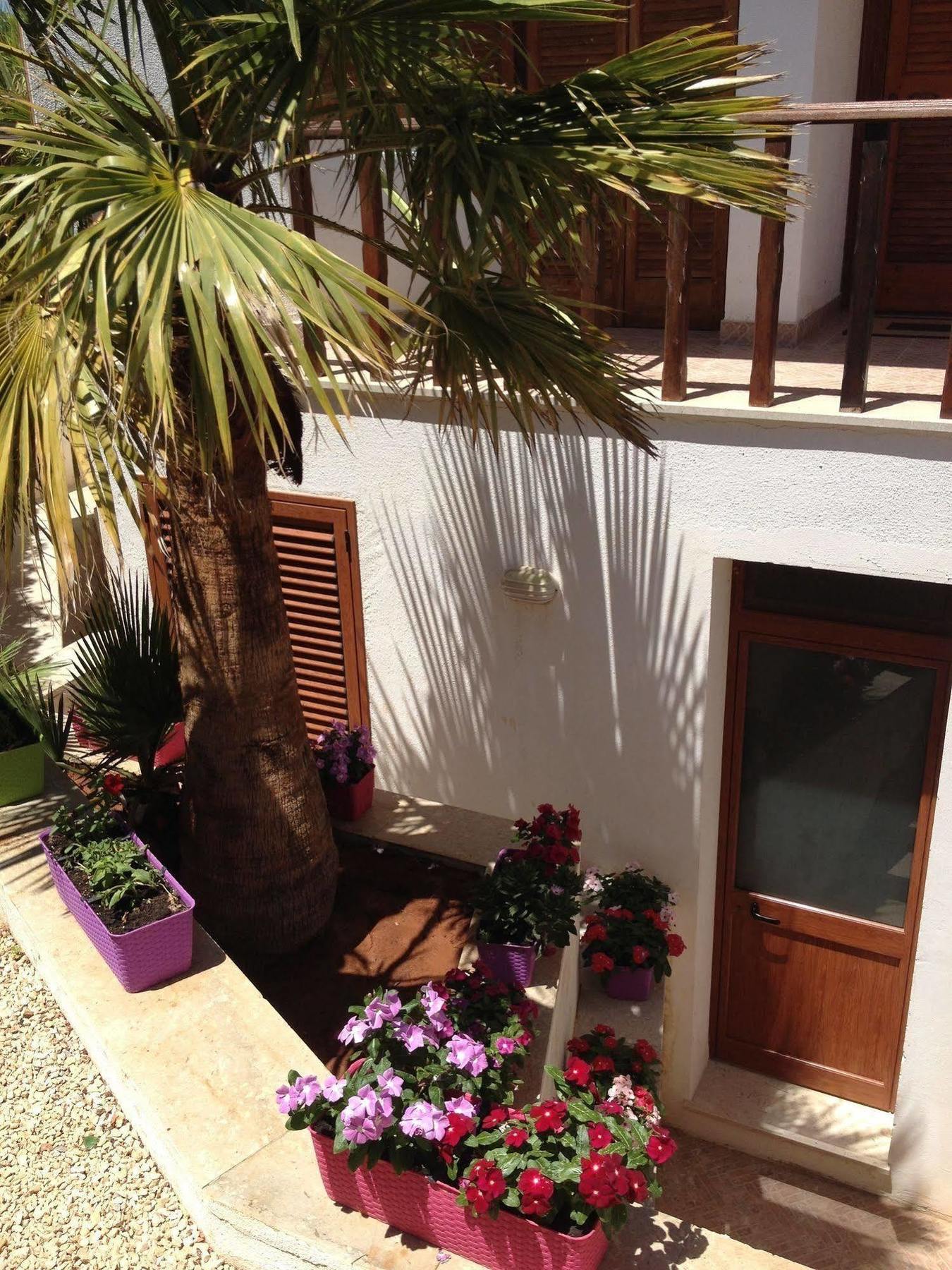 Villa Maria San Vito Lo Capo Exterior photo